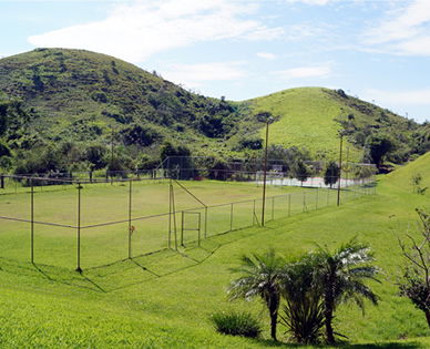 Esportes em quadra 