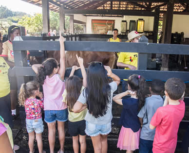 Fazendinha