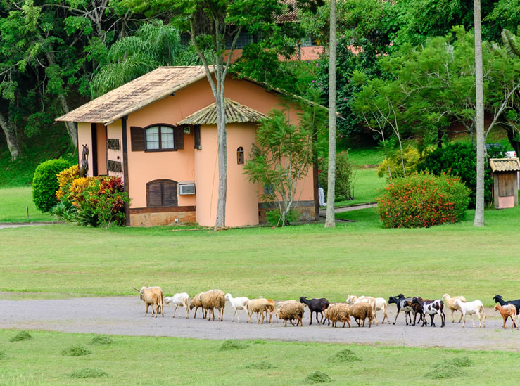 Hotel Fazenda