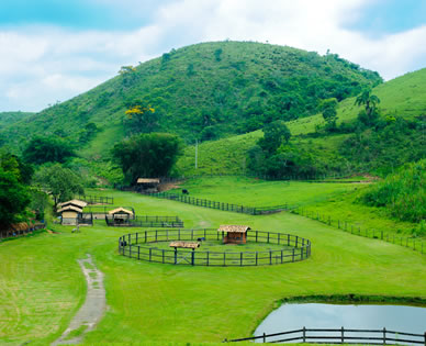Fazendinha