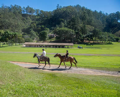 cavalo