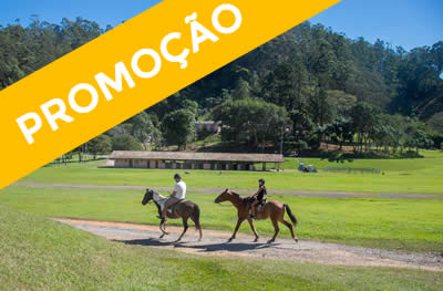 Feriado Trabalho