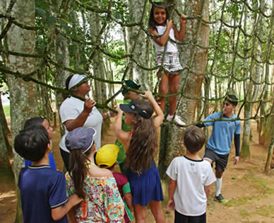 Recreação