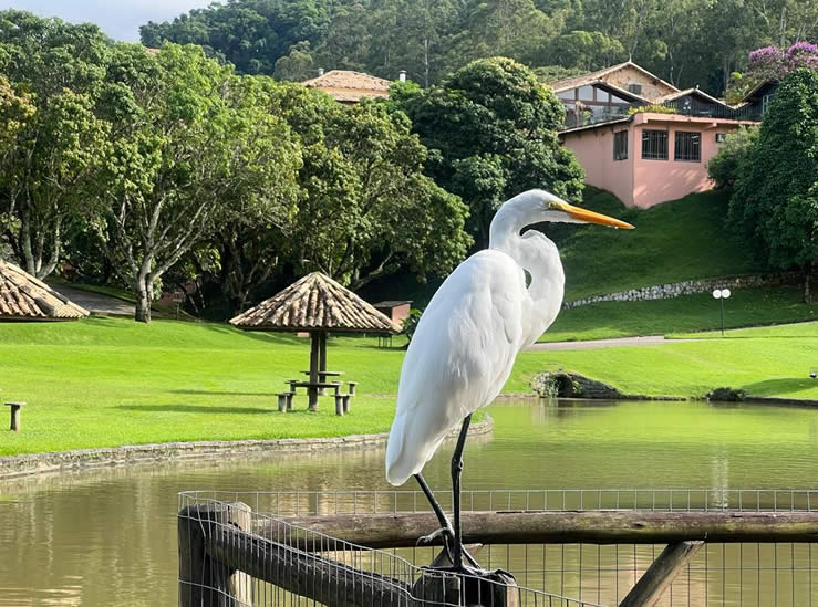 Mascote Restaurante Lago